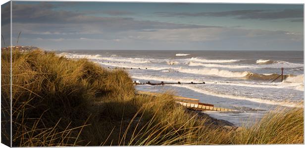 Winter Dunes Canvas Print by Simon Wrigglesworth