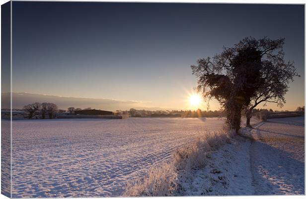 A Winters day Canvas Print by Simon Wrigglesworth
