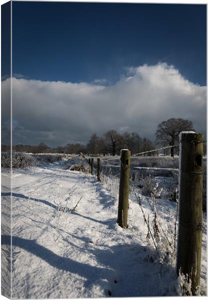 The Cold Route Canvas Print by Simon Wrigglesworth
