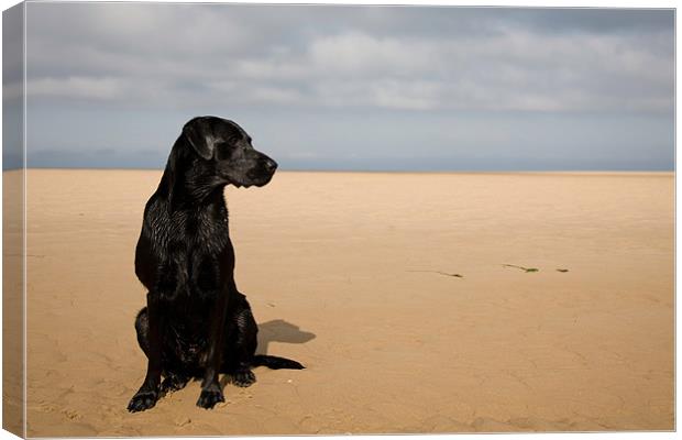 Beach life Canvas Print by Simon Wrigglesworth