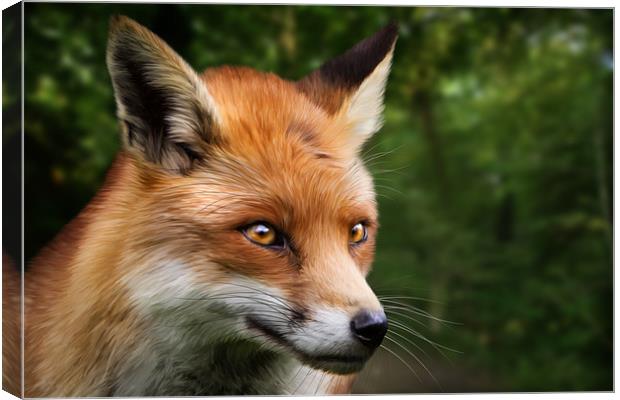 Foxy Canvas Print by Simon Wrigglesworth