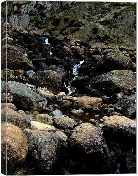 Stepping stones over Dungeon Ghyll Canvas Print by Tony Watson