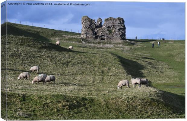 Lammer Castle with sheep  Canvas Print by Paul Leviston