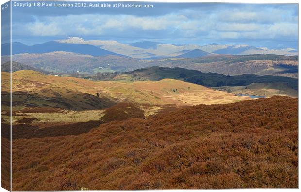 Lake District from Yew Bank Canvas Print by Paul Leviston