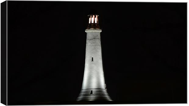 Ulverston Hoad Monument at Night Canvas Print by Paul Leviston