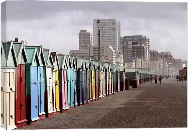 Brighton beach huts Canvas Print by Will Black