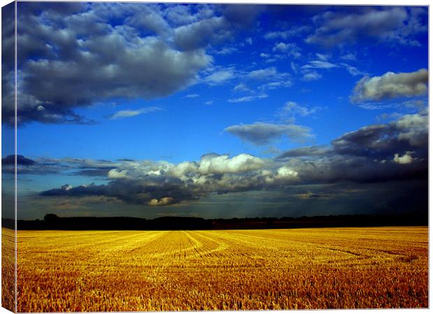 Post Harvest Canvas Print by Will Black