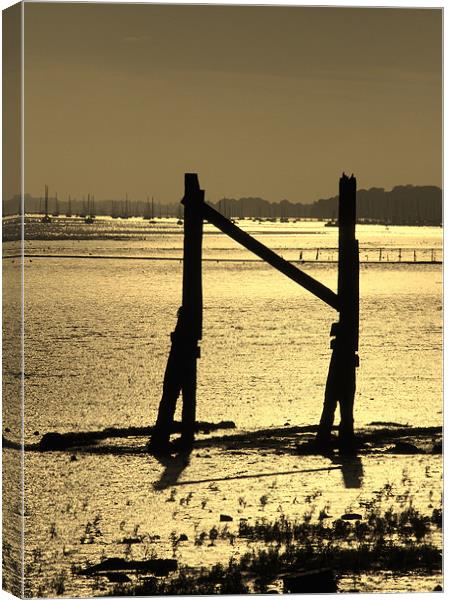 River Orwell Canvas Print by Will Black