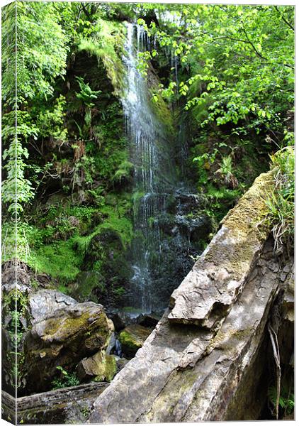 Mallyann Spout Canvas Print by graham young