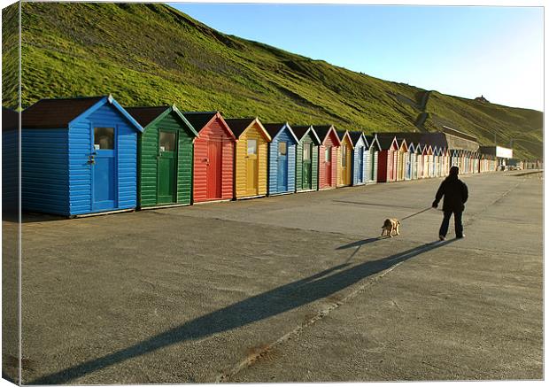 Walking the Dog Canvas Print by graham young