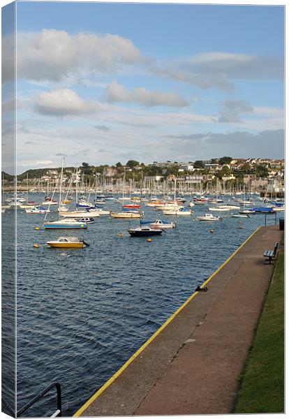 Brixham Harbour Canvas Print by graham young