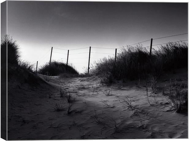 Sand Dunes Canvas Print by graham young