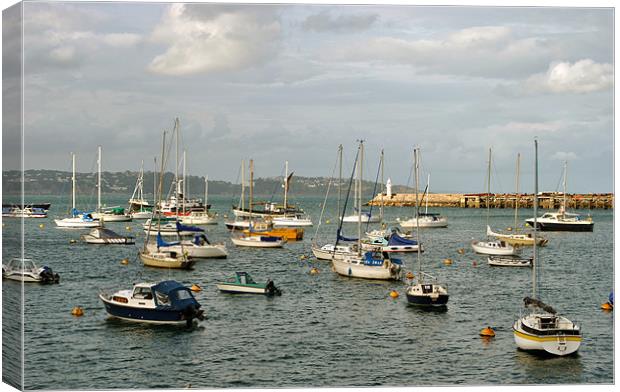 Brixham Outer Harbour Canvas Print by graham young