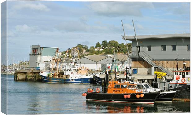 The Brixham Pilot Canvas Print by graham young