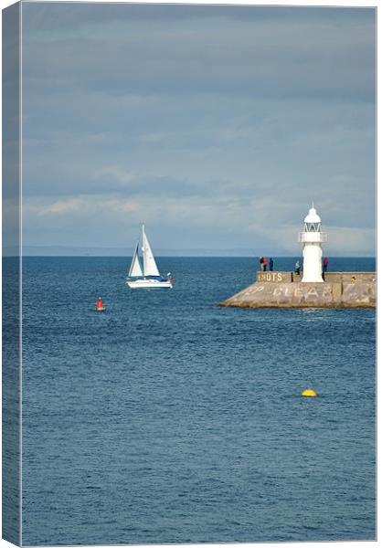 Sailing Off Brixham Breakwater Canvas Print by graham young
