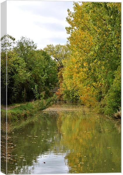Autumn on the Wendover Arm Canvas Print by graham young