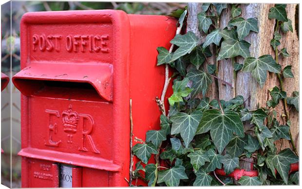Post Box and Ivy Canvas Print by graham young