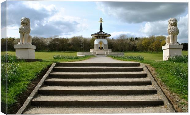 The Peace Pagoda Canvas Print by graham young