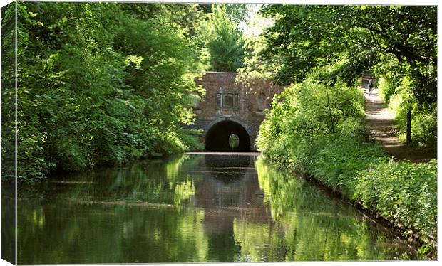 Brandwood Tunnel Canvas Print by graham young