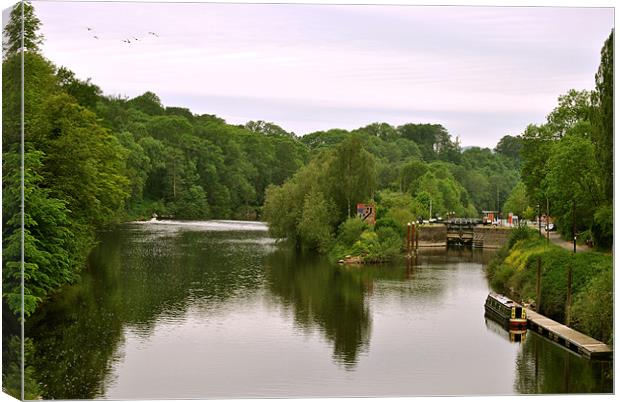 Holt Fleet Lock and Weir Canvas Print by graham young