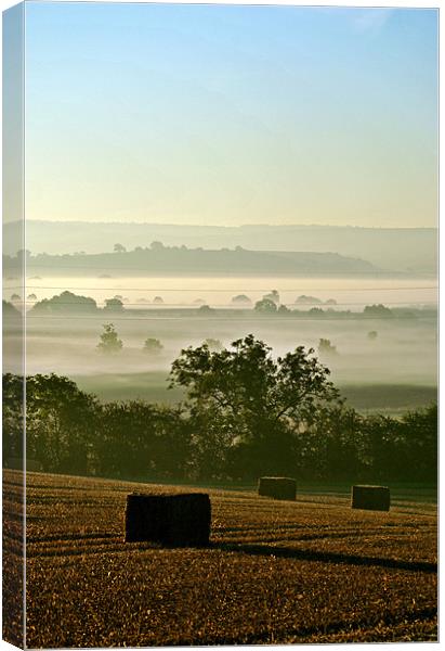 Harvest Dawn Canvas Print by graham young