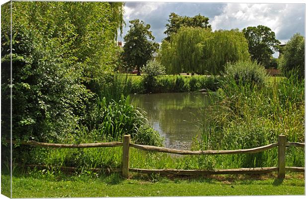 Ham Pond Canvas Print by graham young