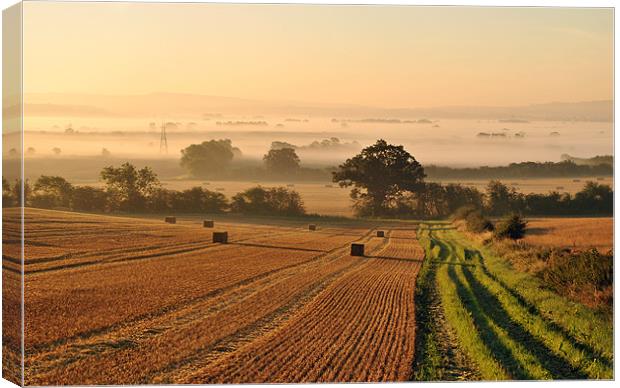 Harvest Dawn in the Vale Canvas Print by graham young