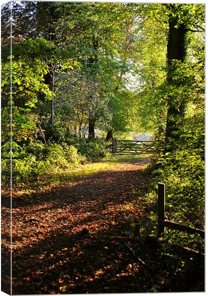 The Gateway To Tring Park Canvas Print by graham young