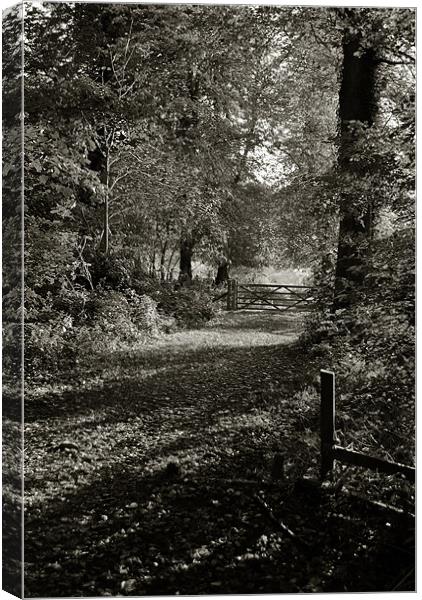 Tring Park Canvas Print by graham young