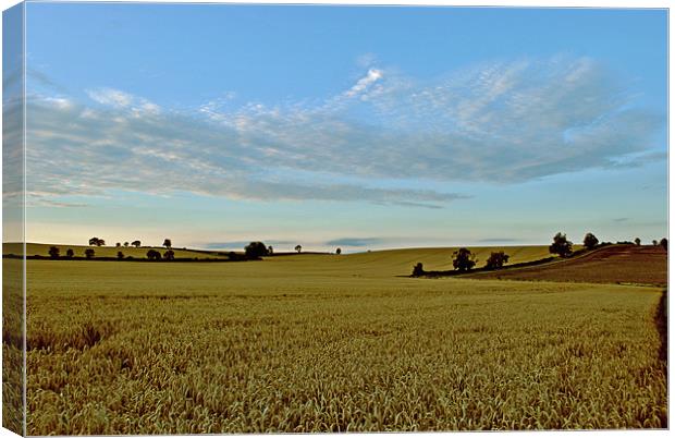 The Harvest Canvas Print by graham young