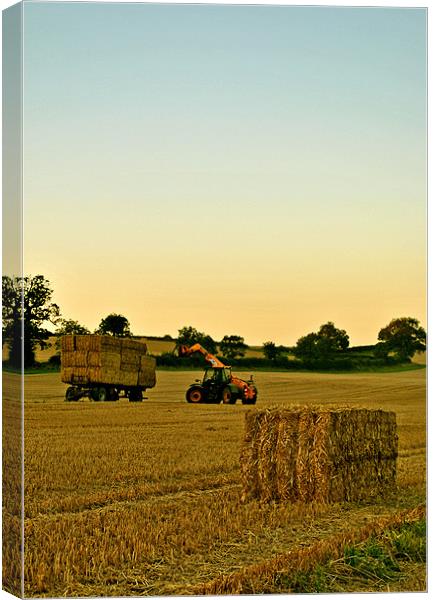 Loading the Bales Canvas Print by graham young