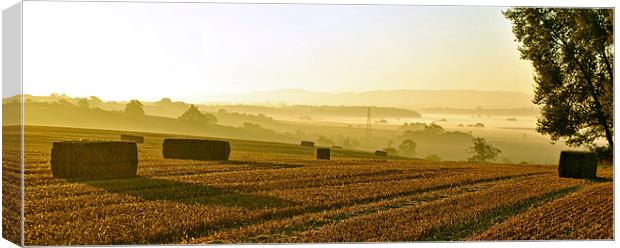 Harvest Dawn - Panoramic Canvas Print by graham young