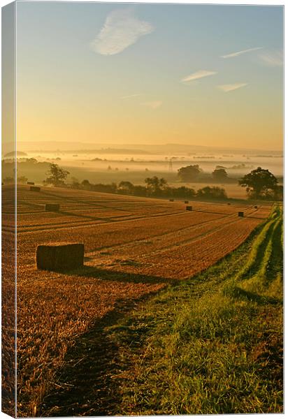 Harvest Time Mist Canvas Print by graham young