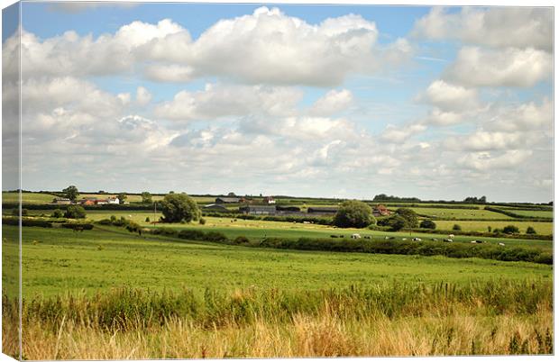 A Leicestershire Farm Canvas Print by graham young