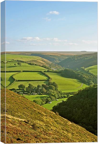 Exmoor Canvas Print by graham young