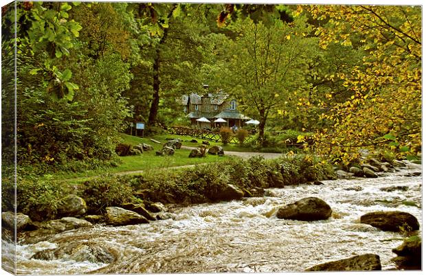 Early Autumn at Watersmeet Canvas Print by graham young