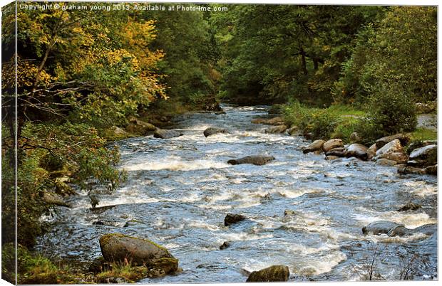 The River Lyn at Watersmeet Canvas Print by graham young