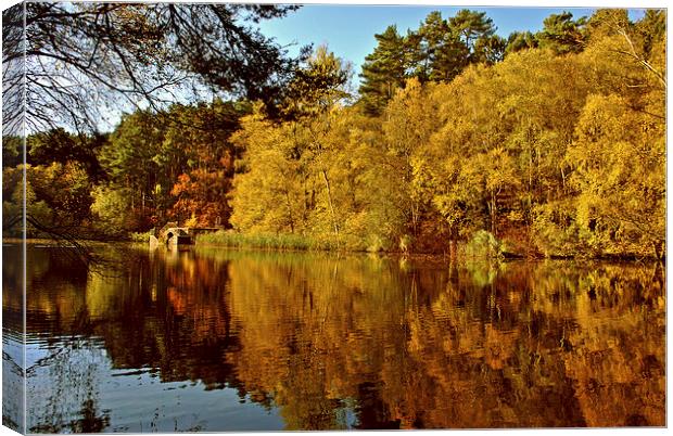 Autumn at Stockgrove Canvas Print by graham young