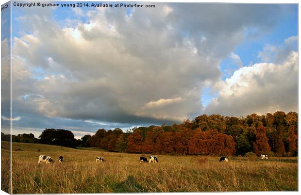Tring Park Canvas Print by graham young