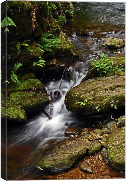 Waterfall on Hoar Oak Water  Canvas Print by graham young