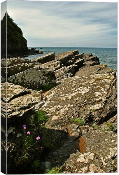 Lee Bay  Canvas Print by graham young