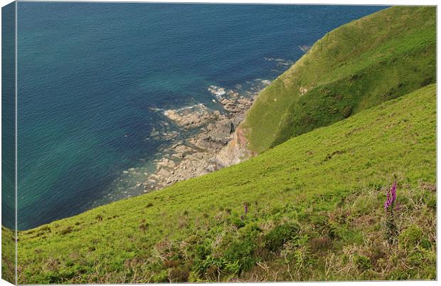 The Cliffs at Foreland Point  Canvas Print by graham young