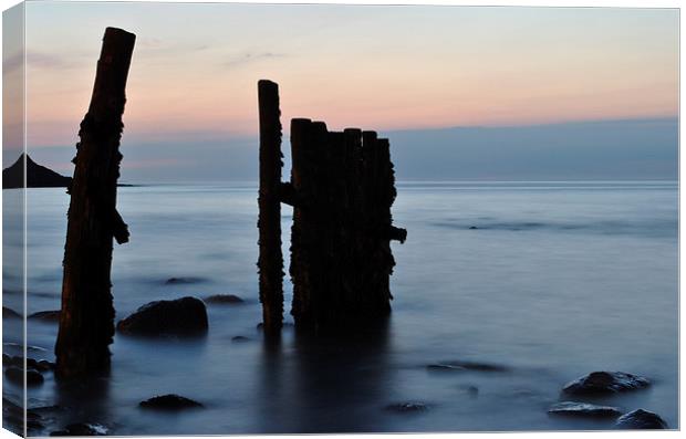 Groynes on Lynmouth Beach  Canvas Print by graham young