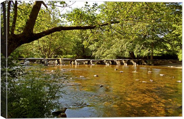 Tarr Steps  Canvas Print by graham young