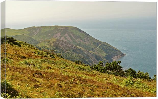 Foreland Point  Canvas Print by graham young