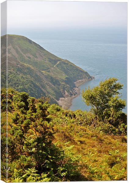 The South West Coast Path Towards Foreland Point  Canvas Print by graham young