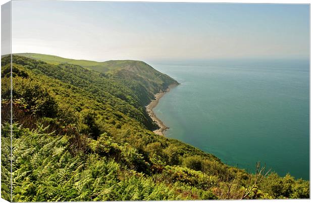 The Exmoor Coast  Canvas Print by graham young