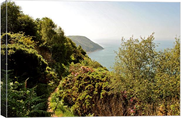 The South West Coast Path  Canvas Print by graham young