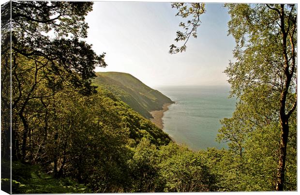 Foreland Point and the Exmoor Coast  Canvas Print by graham young
