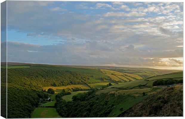 Exmoor from County Gate  Canvas Print by graham young